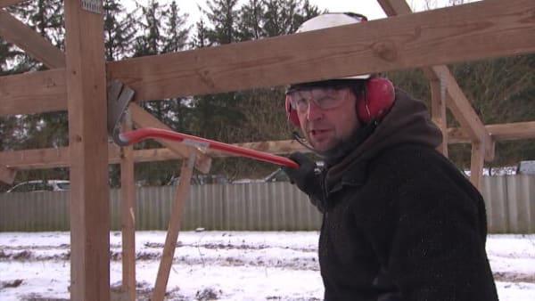 Træ fra minkfarm skal bruges til tag på gymnasium