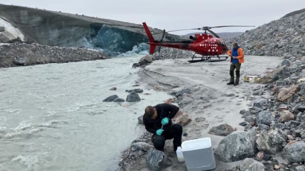 God nyhed fra Grønland: Forskere tilbageviser giftigt fund fra indlandsisen
