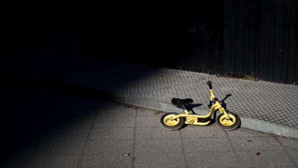 Professor: Dårlig ide at tvangsfjerne børn, fordi forældrene er kriminelle