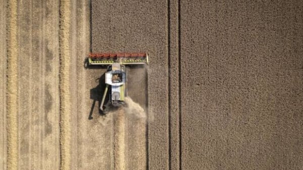 Eksperter til regeringen: Lukker I en tredjedel af landbruget, kan I redde havet, naturen og få en solid klimagevinst