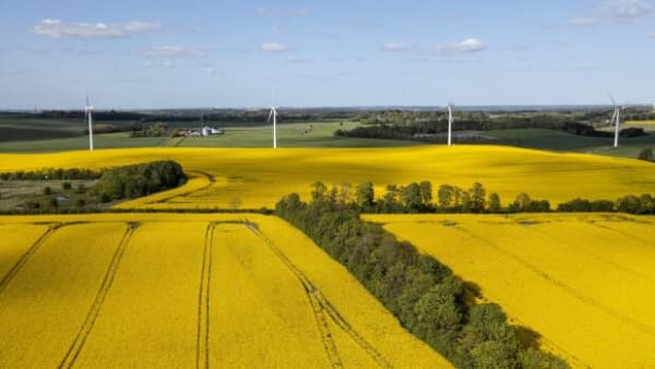 Klimaafgift har virket i industrien – men landbruget står til at slippe billigere