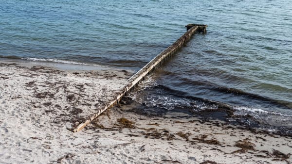 Ny teknologi kan booste havets CO2-optag