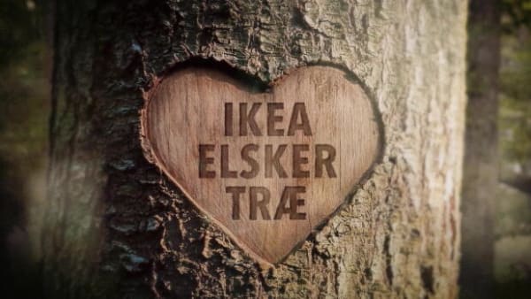 3 spørgsmål og svar om dokumentaren 'Ikea elsker træ'