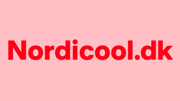Forbrugerråd advarer om dansklignende webshops. Reelt kommer varerne direkte fra Kina