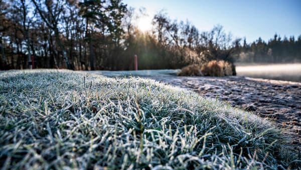 De iskolde dage forsvinder: ‘Vinteren er mere eller mindre afskaffet’