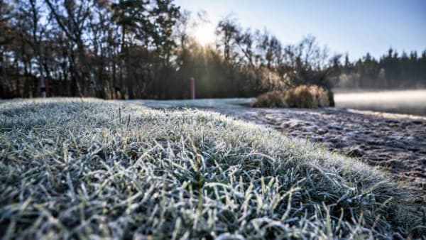 De iskolde dage forsvinder: ‘Vinteren er mere eller mindre afskaffet’