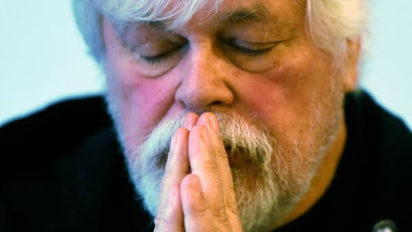 Paul Watson bliver løsladt fra fængslet i Grønland