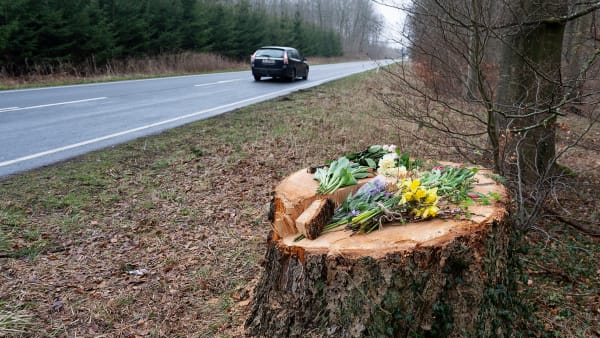 LIVE 55-årig mand dræbt af fældet træ på landevej - i dag starter retssagen