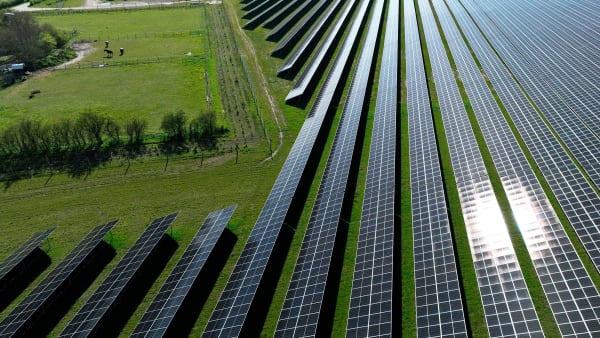 Vi er vilde med solceller på tage