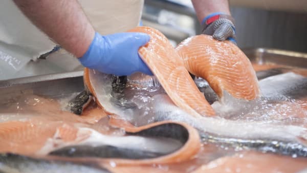 Er opdrættet fisk dårligere? Ikke nødvendigvis, siger ekspert