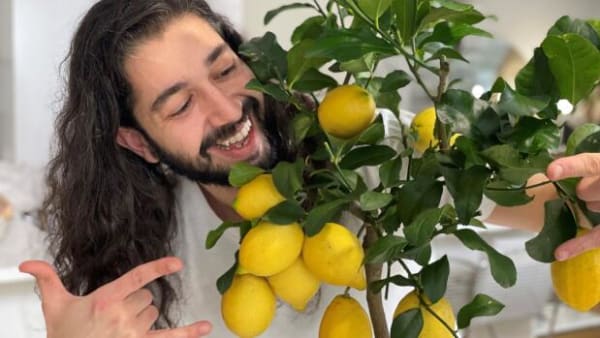 Dansk TikTok-stjerne mister millioner af følgere på TikTok-forbud i USA