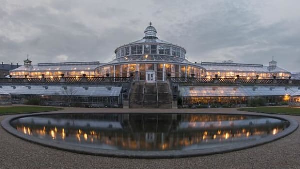 Verdens botaniske haver er ved at løbe tør for plads til truede planter