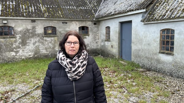 Nævn stopper plan for 95 hektar stor solcellepark: Kommune har ikke undersøgt området for flagermus