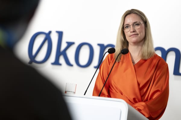 Regeringen varsler plan for oprustning af Forsvaret inden sommer