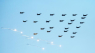 Vild julehilsen: I Norge og Sverige ønsker flyvende juletræer af kampfly glædelig jul