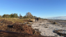 Stormfloden skyllede deres spritnye kystsikring i havet - nu skal grundejere til lommerne igen