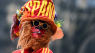 Kan de undertippede georgiere, slå EM-favoritterne fra Spanien i 1/8-finalen?