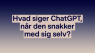 'Jeg elsker at tale med sådan nogle som dig': Hvad sker der, når ChatGPT bliver sat til at tale med ChatGPT?