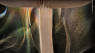 Få et smugkig på årets vildeste naturfotos