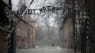 Flere bygninger i Auschwitz-Birkenau overmalet med antisemitisk graffiti