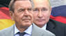 Tysklands ekskansler Schröder i shitstorm: Nu beder kansler Scholz ham bryde med Putin