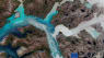Satellitfoto afslører stor afsmeltning i Grønland