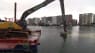 Københavns Havn skal være verdens første 'refugium' for den kritisk truede ål