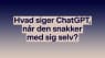 'Jeg elsker at tale med sådan nogle som dig': Hvad sker der, når ChatGPT bliver sat til at tale med ChatGPT?