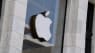 Apples nye AI-værktøj er blevet modtaget med stor kritik – hvor er de blevet af i AI-kapløbet? 