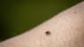 Voldsom stigning i vaccinationer mod TBE. Ekspert mener, det er løbet helt af sporet