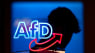 Partiledelsen kommenterer på konspirationsteorier, efter seks AfD-kandidater er døde forud for kommunalvalget