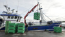 Fiskeriforening i historisk udspil: Vil vinke farvel til hver femte danske fisker