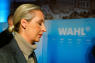 Spiontjeneste retter blik mod mystisk pengestrøm til AfD