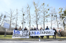 Greenwashing: Klimaneutral mælk, klimakontrolleret gris og en certificeret bil