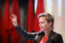 Rosenkrantz-Theil stopper i Folketinget