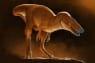 Forskere mener, at ny dinosaurart kan være forfader til T-rex