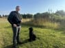 Privat hundepark kan lejes i en time: Hjælper nervøse hunde