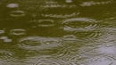 Regn over tørkeramt landsdel: Prognose viser op til 20 millimeter